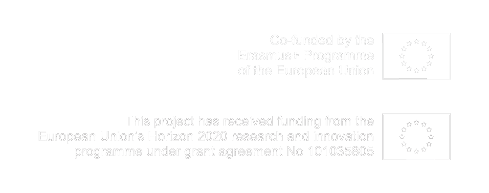 Co-funded by the Erasmus+ Programme of the European Union This project has received funding from the European Union's Horizon 2020 research and innovation programme under grant agreement No 101035805