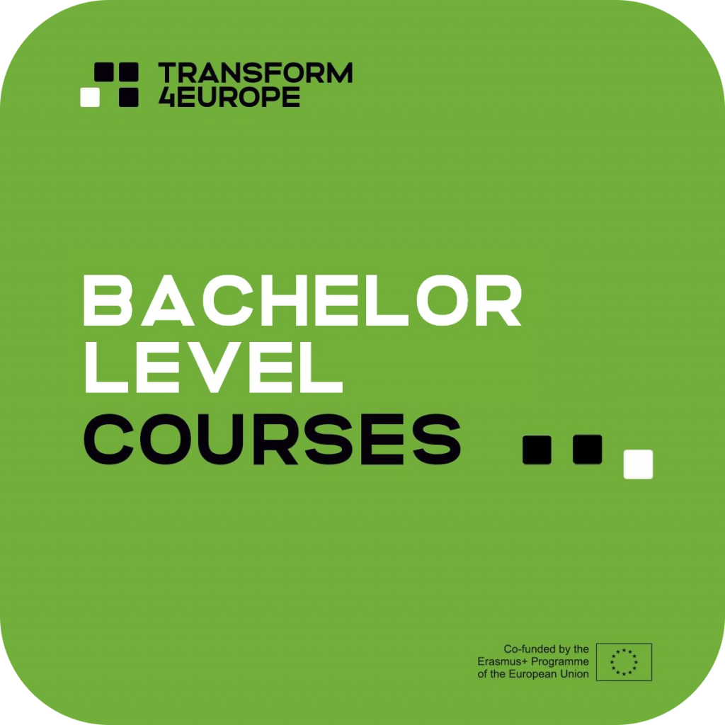 bachelor level courses