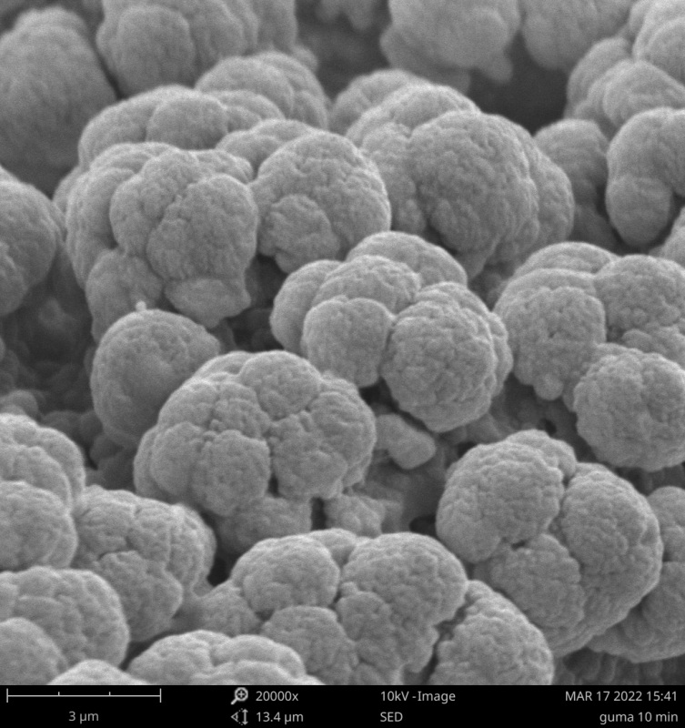The particles of tire dust Tire dust particles obtained in the laboratory, observed in the Phenom XL scanning microscope
