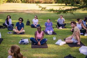 People sitting on grass