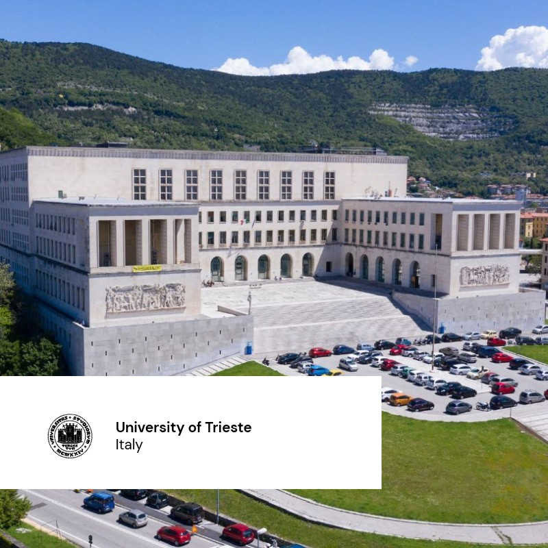 University of Trieste