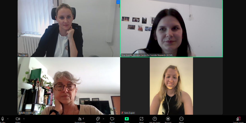 Mental Health Workshop - online meeting