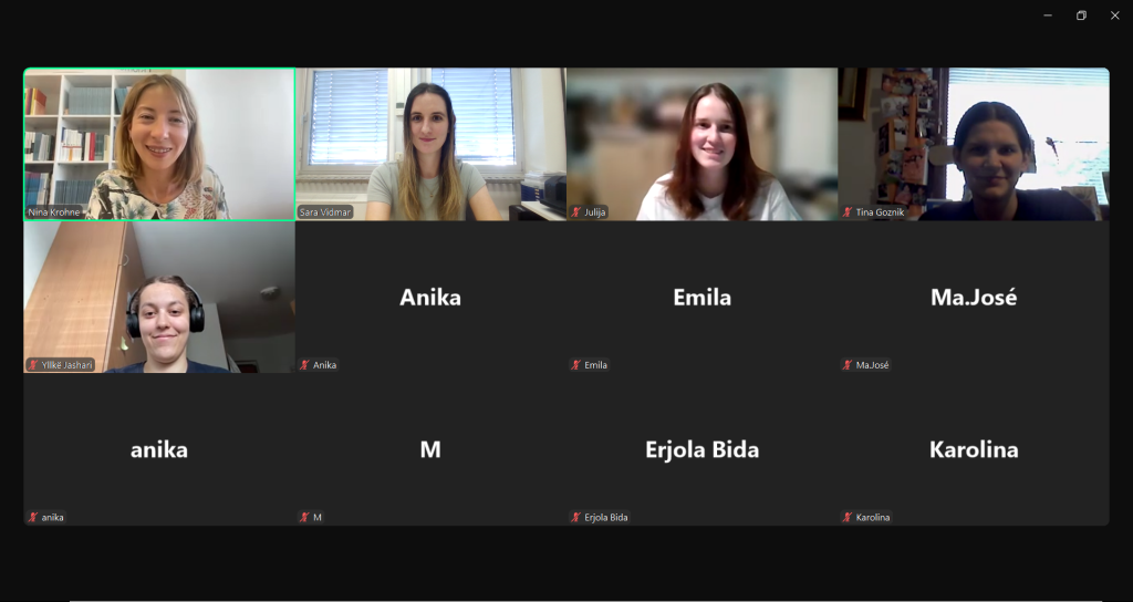 Mental Health Workshop - online meeting