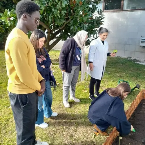 Five people stand around a small garden bed; one is kneeling, planting seedlings. The others watch attentively. Trees and a building are visible in the background. The scene appears to take place outdoors on a sunny day.