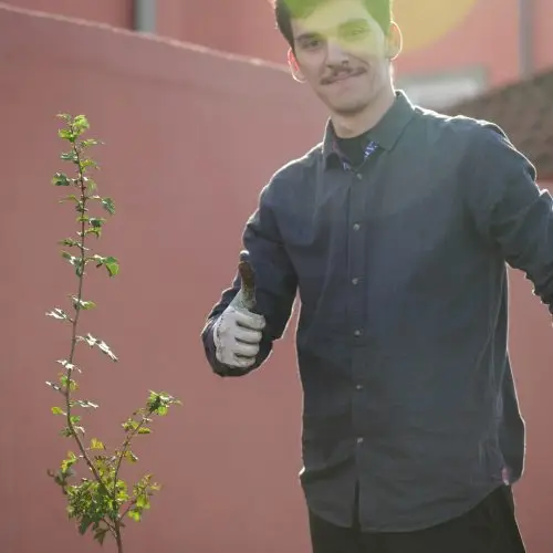 A young man wearing a dark shirt and gardening glove stands outdoors by a small leafy plant, giving a thumbs-up gesture and smiling. Sunlight and a pink wall are visible in the background.