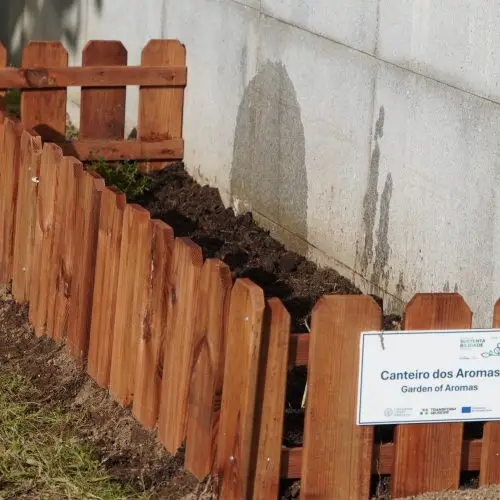 Small garden with little wooden fence next to a concrete wall