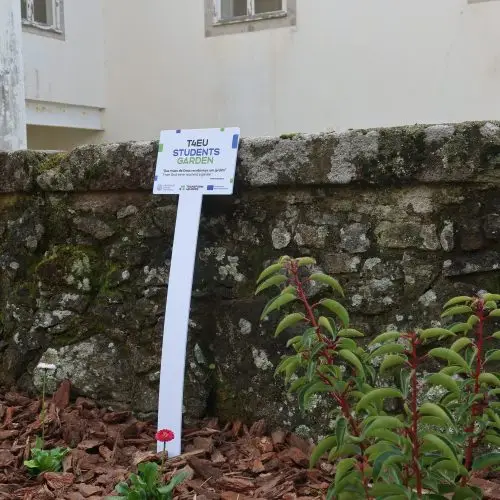 A small garden with wood chip mulch, young plants, and a white sign reading TEU Students Garden in front of a stone wall and a cream-colored building with windows.