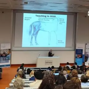 A large lecture hall filled with seated attendees faces a presenter at a podium. A humorous slide on the screen shows a horse drawing labeled “Teaching in 2020,” blending photorealism and stick-figure art, illustrating varied quality.