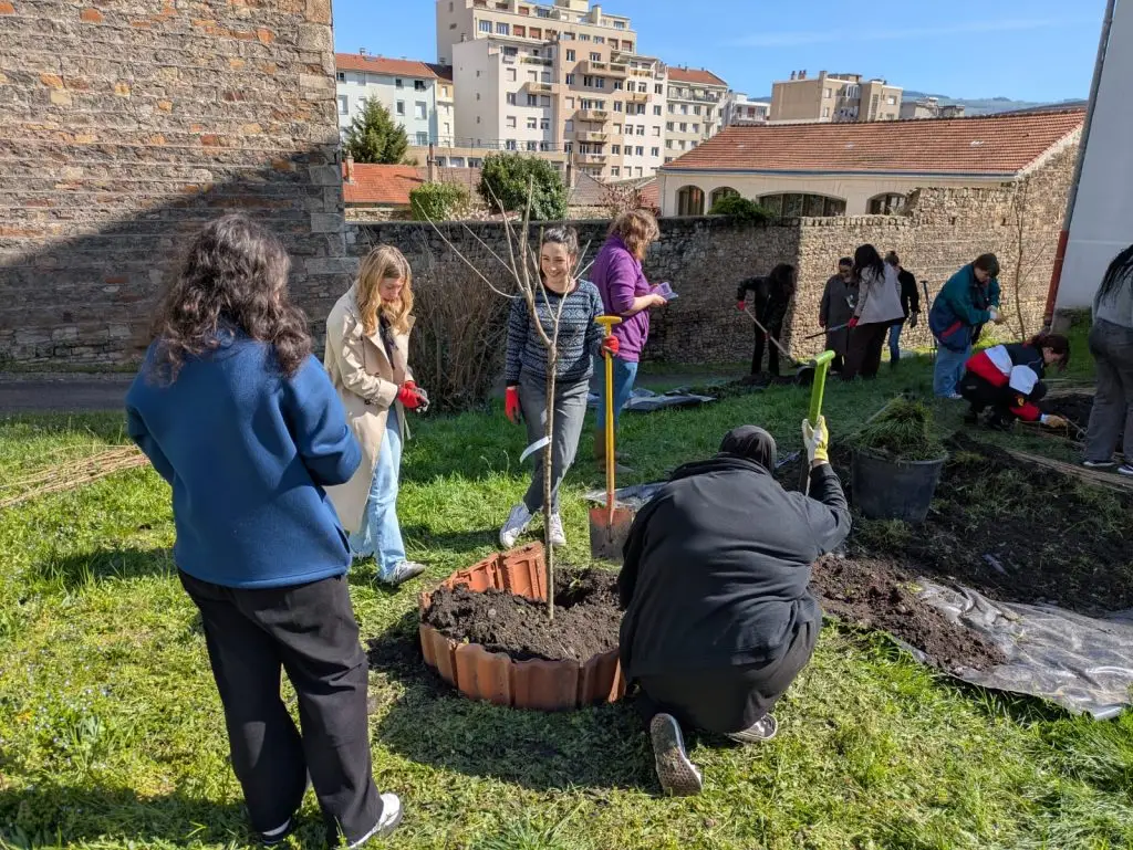 A group of people in a grassy yard are planting a young tree together on a sunny day. Some are digging or arranging soil, while others watch and chat. Apartment buildings and stone walls are visible in the background.