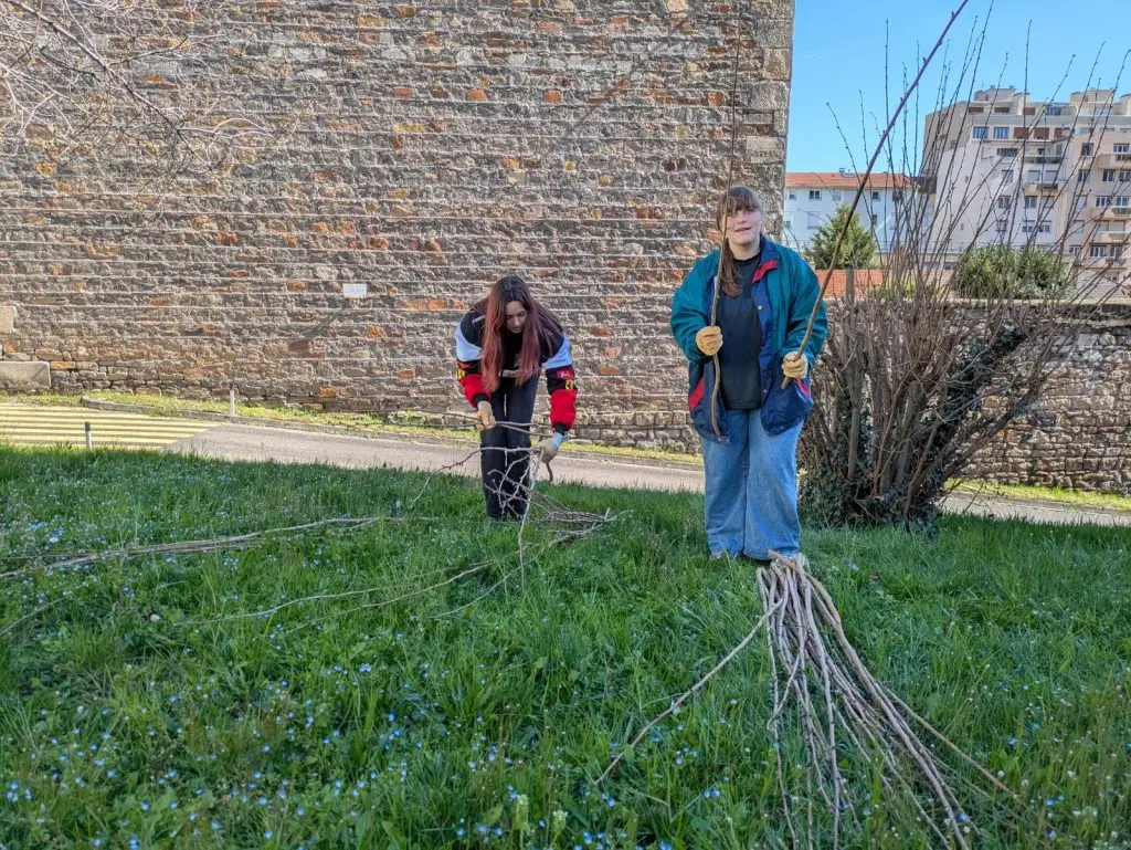 Two people stand on grass near a stone wall, handling long sticks or branches. One person is tying branches together, while the other stands beside a bundle, both wearing gloves and outdoor clothing. Some buildings are visible in the background.