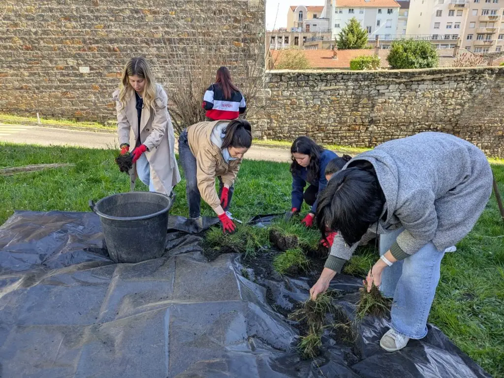 Four people wearing gloves are kneeling on a tarp, handling soil and small plants outdoors. Another person stands nearby with their back to the camera. A stone wall and buildings are visible in the background.