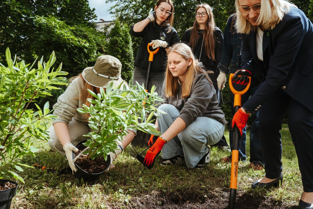 A group of women planting a shrub in a grassy area, using shovels and wearing gardening gloves, surrounded by greenery on a sunny day.