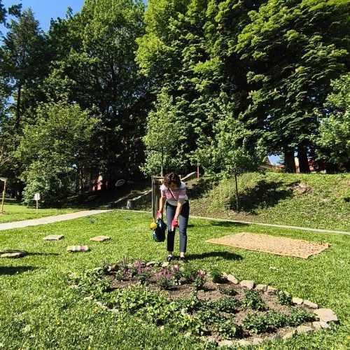 A person waters a small circular garden surrounded by grass and stone edging, with tall green trees and a clear blue sky in the background.