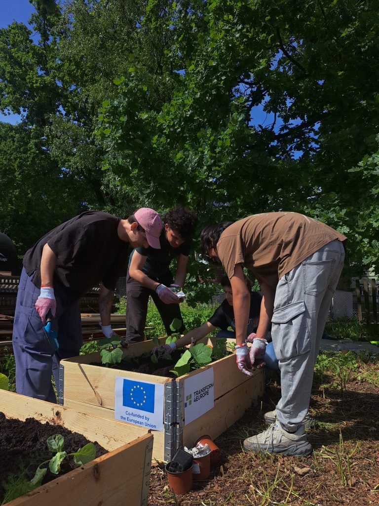 Three people wearing gloves are gardening together, planting seedlings in a raised wooden garden bed on a sunny day. A sign on the bed displays the European Union flag and Erasmus+. Trees and greenery surround them.